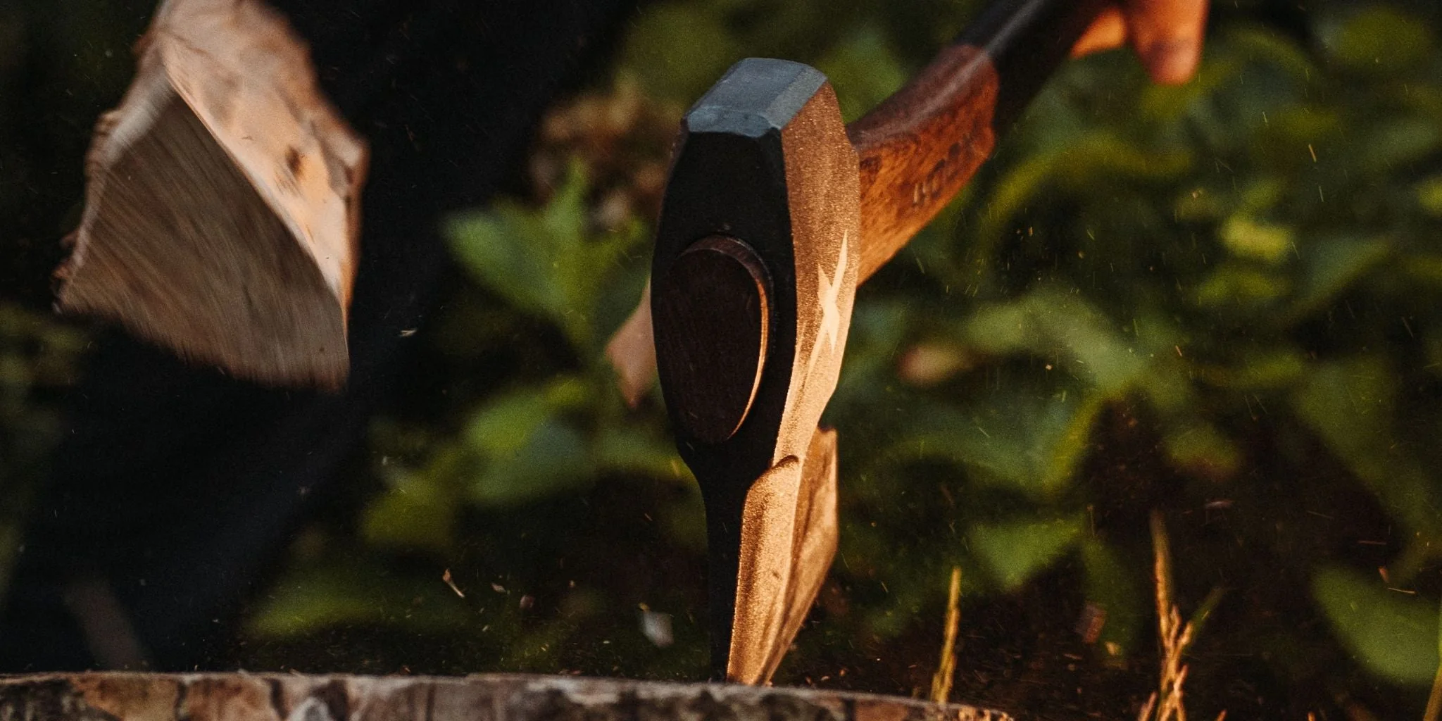 FORTE - Image 5