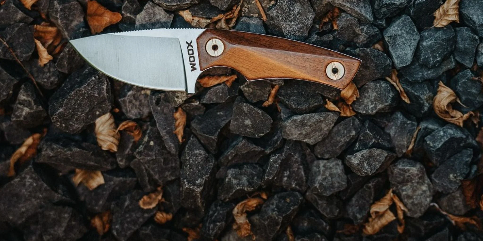 BAD BOY - DROP POINT - Image 5