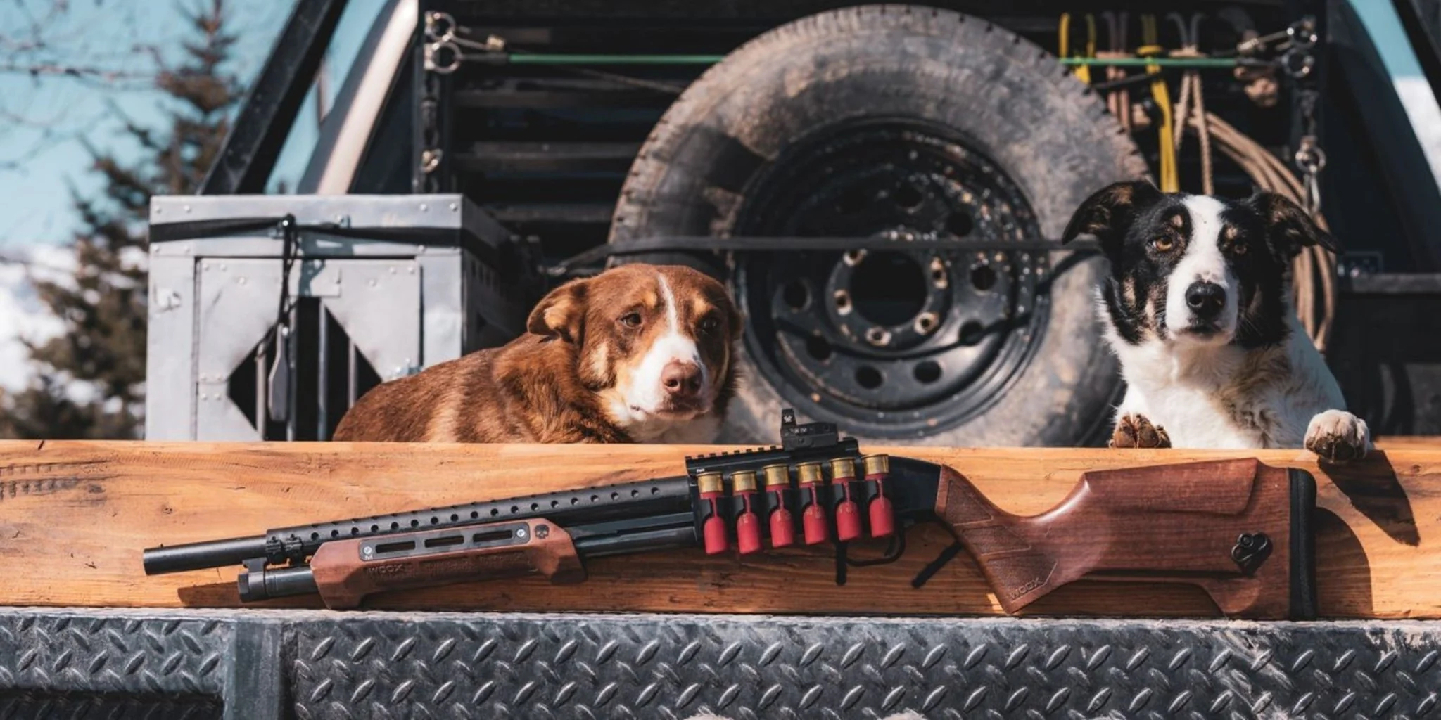 GLADIATORE Stock + Forend Kit - Image 5